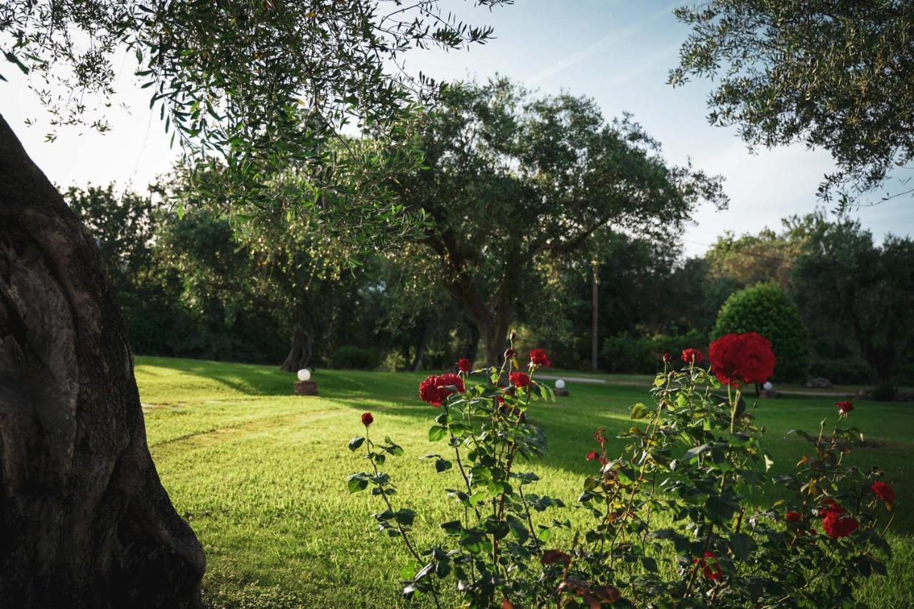 Panorama Hideaway Aparthotel Dassia (Corfu)